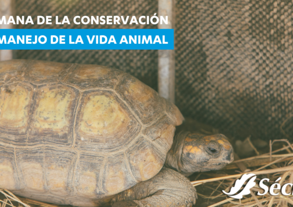 Semana de la Conservación y Manejo de la Vida Animal