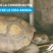 Semana de la Conservación y Manejo de la Vida Animal